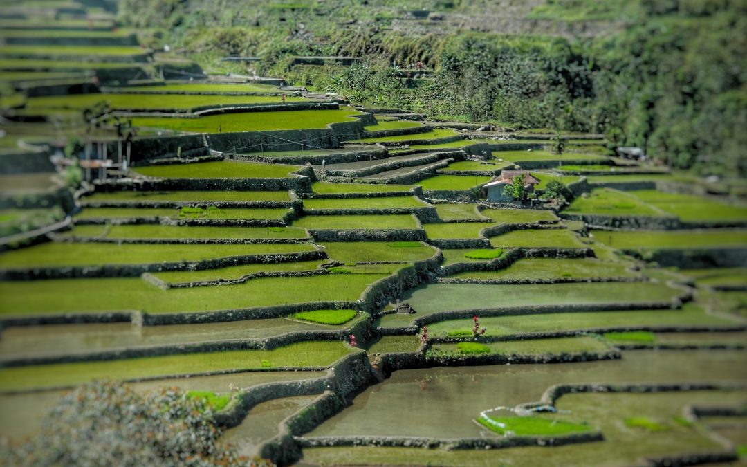 Progress and Prospects for Application of Social-ecological Systems Approach for Vector Borne Diseases